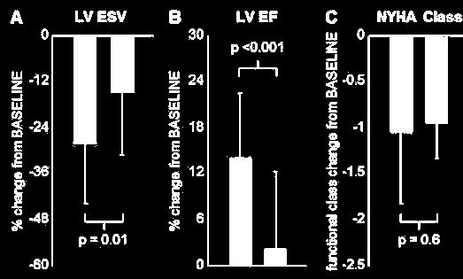 Results: After 12 months, 12/21 (57%) of patients in the conventional BiV group and 16/21 (76%) of patients in the MP group were classified as positive responders (defined as ESV reduction 15%).