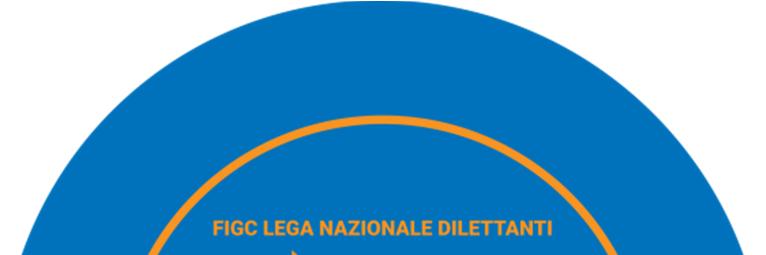 CU nr 42TER - Pagina 1 Federazione Italiana Giuoco Calcio Lega Nazionale Dilettanti COMITATO PROVINCIALE REGGIO EMILIA Via Ferruccio Ferrari 2 42124 REGGIO EMILIA Tel.