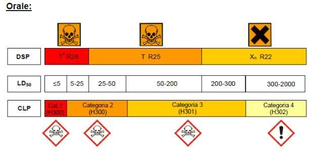 Regolamento