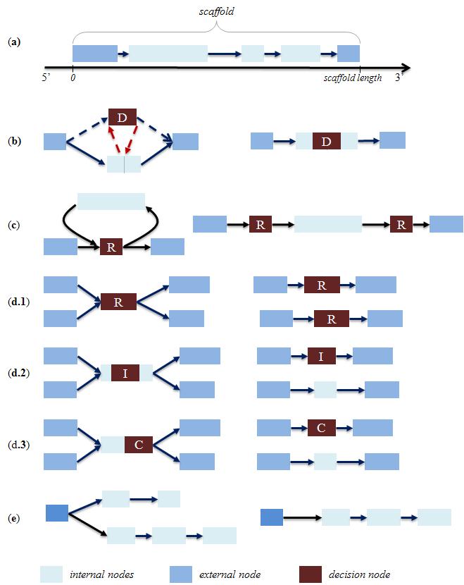 96 Chapter 3. Genome Assembly e Scaffolding Figure 3.23: In the figure, there are all the shape assumed by the graph, in presence of misassembled contigs, repeats or errors.