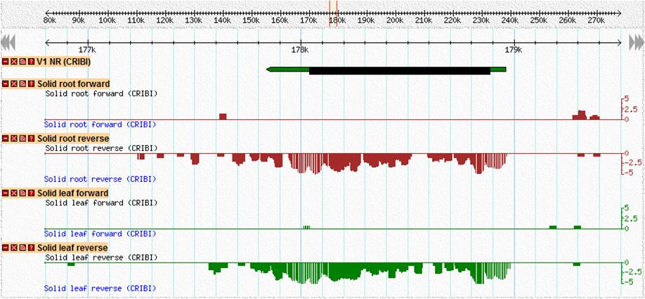 30 Chapter 2. Gene Prediction Figure 2.5: A screenshot of the genome viewer GBrowse, on which some transcriptome reads have been loaded.