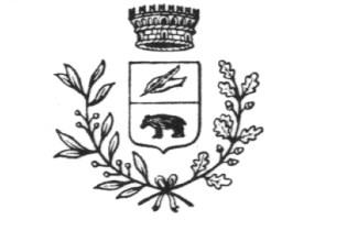COPIA Deliberazione n 3 Comune di Orsago (Provincia di Treviso) Verbale di deliberazione del Consiglio Comunale Oggetto: DETERMINAZIONE ALIQUOTE PER L'APPLICAZIONE DELL'IMPOSTA MUNICIPALE "IMU" PER