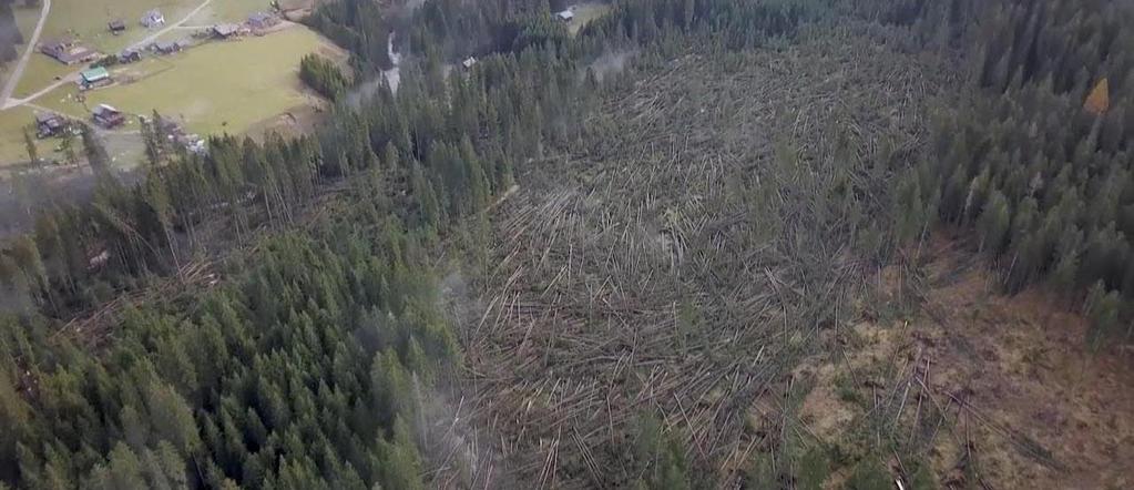 Alcuni eventi - 2018 Emergenza maltempo in provincia di Belluno n.