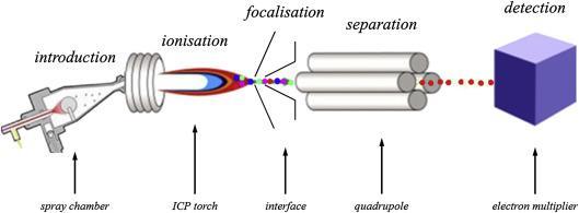 Gli ioni caricati positivamente che sono prodotti nel plasma sono estratti nel sistema del vuoto, tramite una coppia di coni 5.