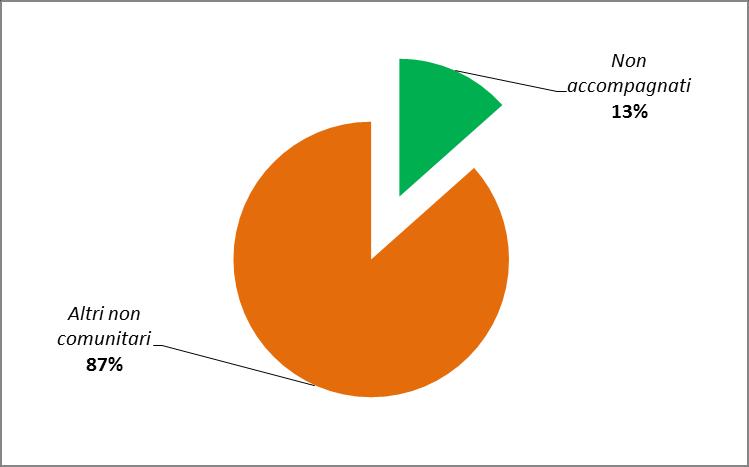 Grafico 1 Minori stranieri non accompagnati in carico agli Uffici di servizio sociale