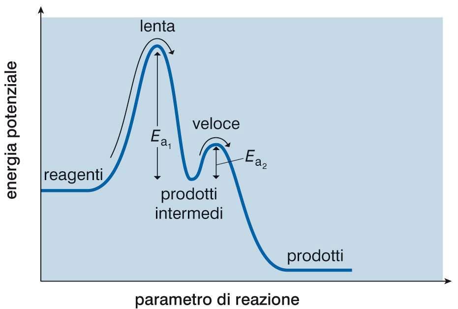 Stadio limitante