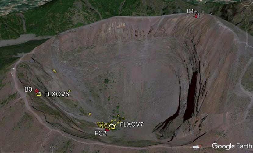 Figura 4.1 - Ubicazione delle stazioni multiparametriche FLXOV6 e FLXOV7, e dei siti oggetto delle attività di sorveglianza geochimica in area craterica.