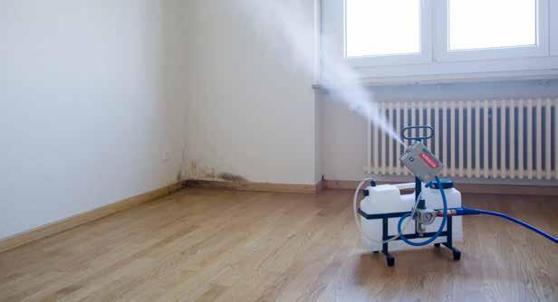 Eliminazione delle muffe Mai più odore di marciume e macchie nere alle pareti, ai soffitti e ai pavimenti. Gli specialisti della Krüger + Co. SA eliminano la muffa per sempre.
