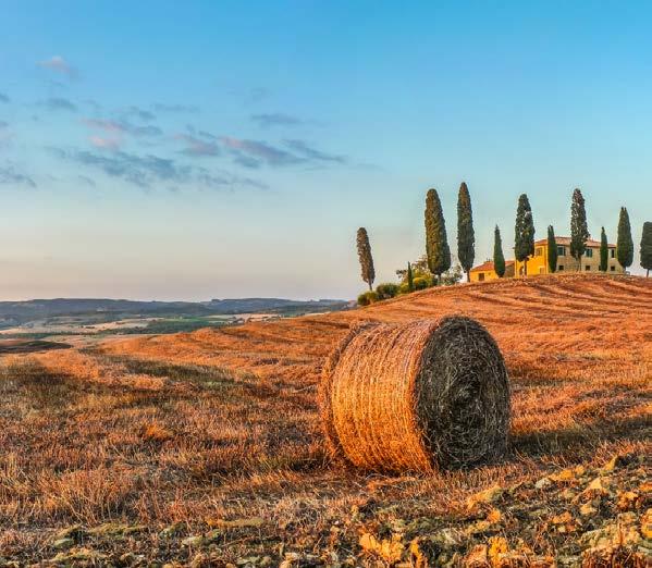 Chi siamo Come lavoriamo Verisani nasce con la volontà di realizzare prodotti in modo realmente sano, grande attenzione alle materie prime e massima trasparenza verso i propri consumatori.