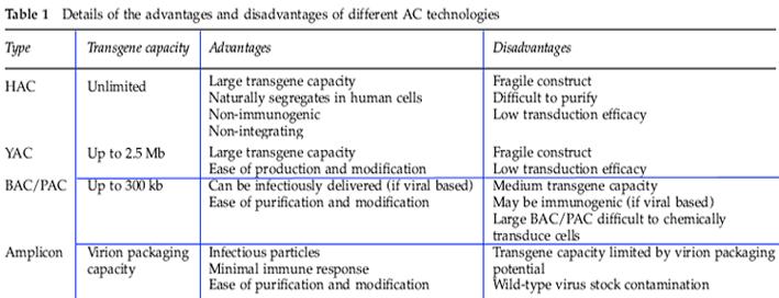 Macnab and Whitehouse, Gene Therapy, 16:1180-1188, 2009 AC Artificial Chromosome BAC Bacterial Artificial