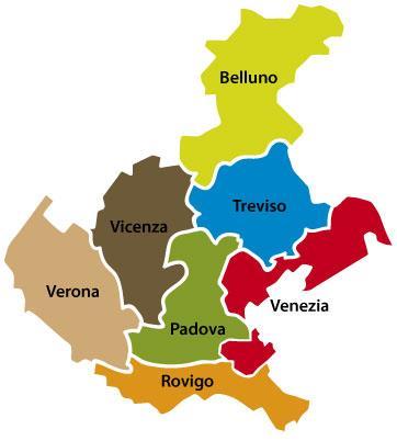 Il contributo provinciale all export Export province del Veneto (var.