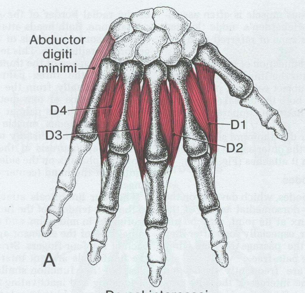 Materiali