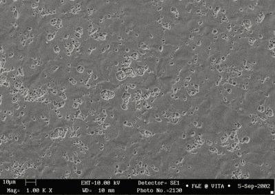 Le differenze di CET tra agglomerati di leucite e fase vetrosa comportano spesso la formazione di fessure da tensione.