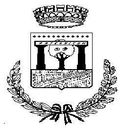 Comune di Paterno ( Provincia di Potenza ) P.zza Isabella Morra n. 2 Tel. 0975.