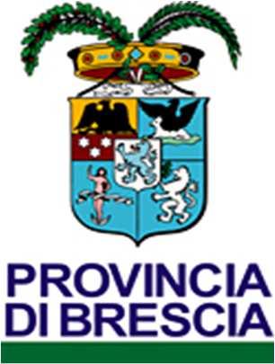 PROCEDURA APERTA PER L AFFIDAMENTO IN CONCESSIONE MEDIANTE PROJECT FINANCING AI SENSI DELL ART. 183 COMMA 15 DEL D.LGS.