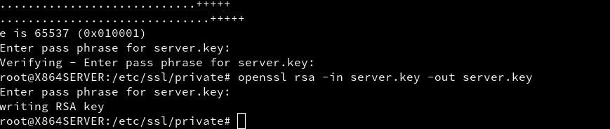 directory digita: openssl genrsa -aes128 -out server.key 2048 Scegliere una passphrase e ripetere per controllo.