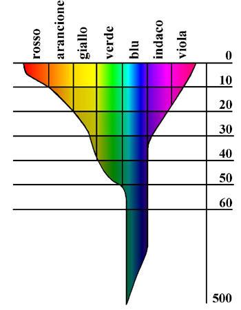 la luce La luce del Sole è assorbita in funzione della frequenza; quella corrispondente al colore blu è assorbita