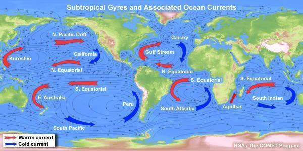 I DUE TIPI DI CORRENTI CORRENTI OCEANICHE: Simili a grandi fiumi che scorrono nel mare e che hanno temperatura e salinità diverse da quelle delle masse d acqua circostanti.