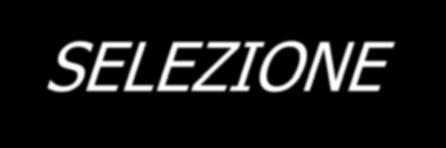 Procedimenti autobiografici 5 Il processo di SELEZIONE è attuato: sui FATTI