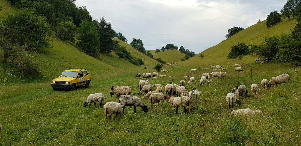 Distanza: Despotovac Majdanpek circa 200 km. È incluso: colazione, merenda, pranzo in natura (pasto militare pronto), pausa caffè, merenda, cena.