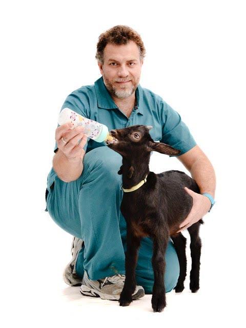 SEMINARIO CON GÉRARD MANGIAGALLI DAL CUCCIOLO AL CANE ANZIANO: GESTIONE SANITARIA E PRIMO SOCCORSO BOLOGNA 6-7 LUGLIO 2019 Siua Casella Postale 21-40018 San Pietro in Casale (BO) -