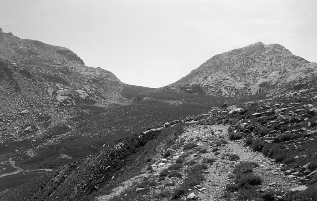 - Valle di Susa: Sestrière (Magistretti, 1965); Colle del Sestriere, 2 es. 14-18.VIII.1938, B. Bari leg., in coll. Giachino (in verb.