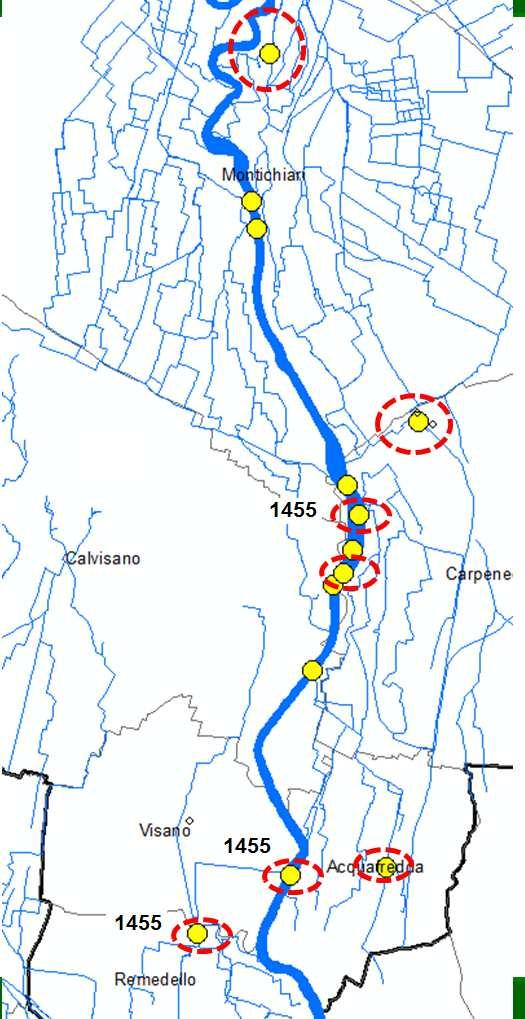 Figura 17: Mappatura dei prelievi sul fiume Chiese e sue derivazioni (in giallo); i campioni positivi alla