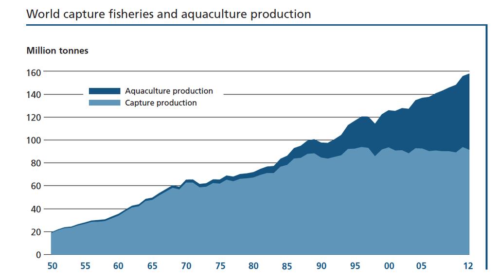 ACQUACOLTURA E PESCA L acquacoltura è cresciuta mediamente nell ultimo trentennio l 8,8% all anno Valore