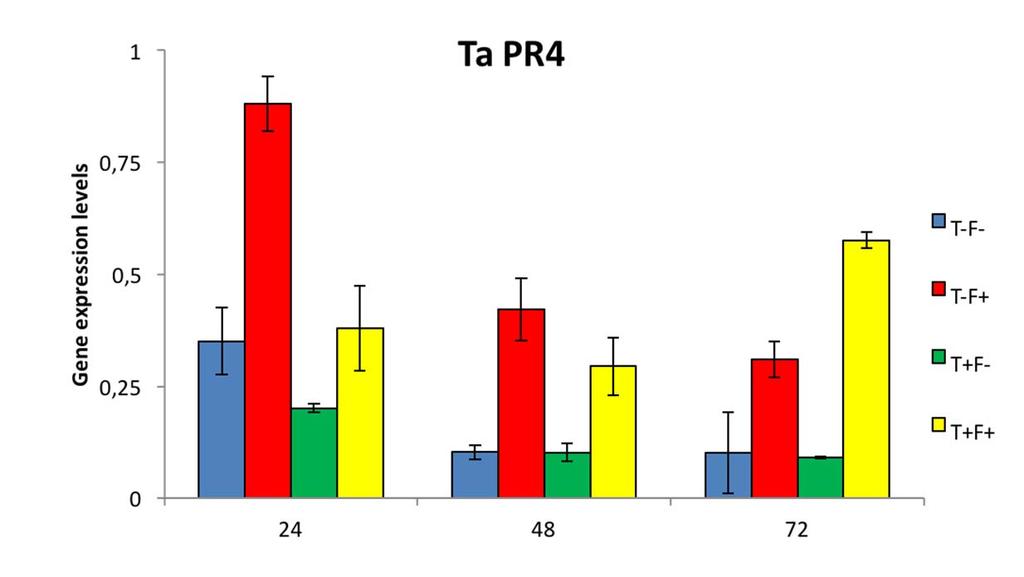WP 6 Trichoderma harzianum seed treatment for Fusarium control in cereals PR4 behavior is similar to what found for PAL and PR1 expression POX expression of