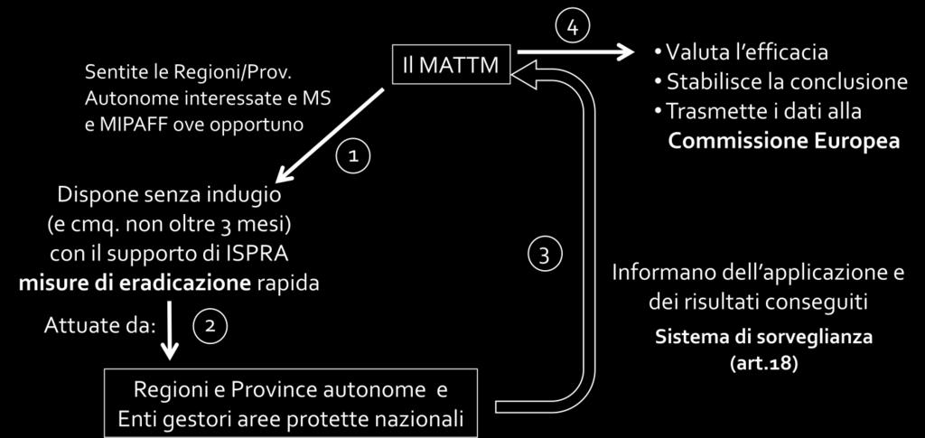 Step 2: Eradicazione rapida Nel caso in cui ci siano