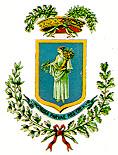 REPUBBLICA ITALIANA Provincia di Pordenone SETTORE VIGILANZA Corpo di Polizia Locale Proposta nr. 29 del 24/12/2012 - Determinazione nr.