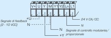 C = Posizione di montaggio non permessa.