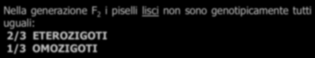 Esercizio 4 L'albinismo, la totale mancanza di pigmento, è dovuto a un gene recessivo.