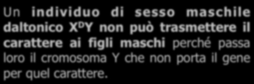 daltonico X D Y non può trasmettere il carattere ai figli maschi