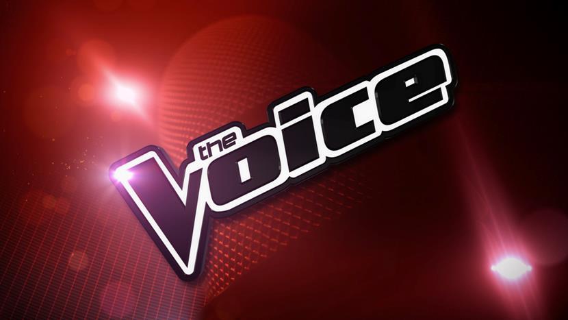 THE VOICE The Voice of Italy è un programma televisivo italiano. è la versione italiana del talent show The Voice.