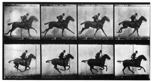 Eadwaerd!Muybridge!(1830N1904),!