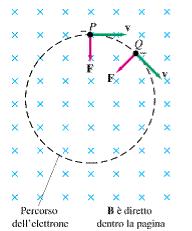 6.2 Forza di Lorentz Come abbiamo detto la forza di Lorentz è centripeta quindi se la velocità iniziale della particella non ha una componente parallela al campo magnetico la forza devia
