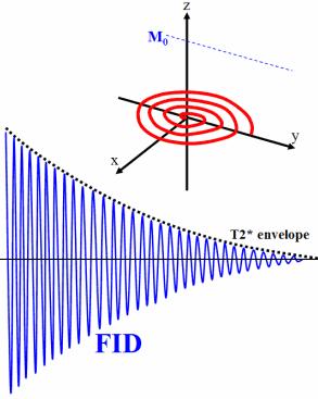 Intermezzo processi di rilassamento Rilassamento spin-lattice (per esempio dipolo-dipolo nei liquidi) dm z dt Rilassamento spin-spin dm xy dt = (M z M z )/T 1