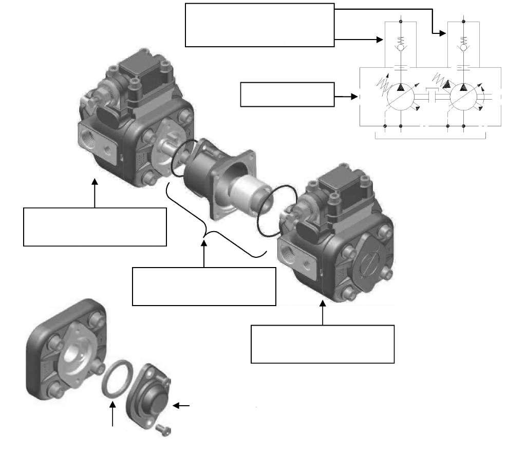 PHP POMPE COMBINATE POMPE COMBINATE Su richiesta, le pompe BERARMA della famiglia 1 PHP possono essere predisposte per essere abbinate con: pompe appartenenti alla stessa famiglia 1 PHP; pompe