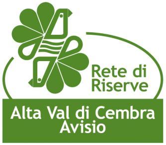 AVVISO PUBBLICO Tessere la Rete 2019 CONTRIBUTO A INIZIATIVE