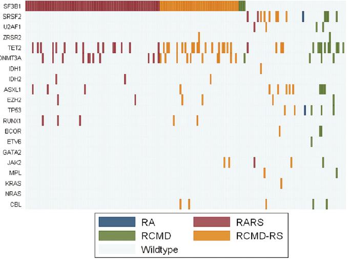 MDS con Mutazione di SF3B1 v n=293 pazienti con neoplasie mieloidi e >1% sideroblasti ad anello (RS) v SF3B1 mutata nell 81% delle RARS o
