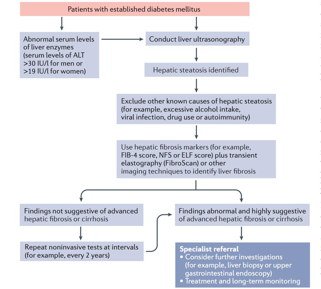 Importanza specifica identificazione NAFLD per il