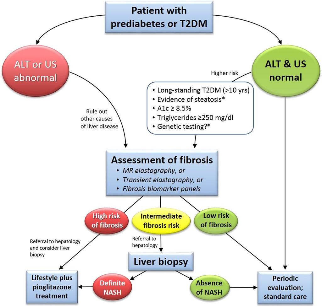 Algorithm for the diagnosis of NAFLD and NASH in patients with prediabetes or T2DM in clinical