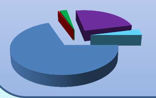 (16 %) PL FLO: 15 (1 %) % potenza HG: 69 % Potenza e energia Potenza totale: 134 kw Ore anno: 4200 h/y Energia: 562 MWh/y 105 TEP/y 332