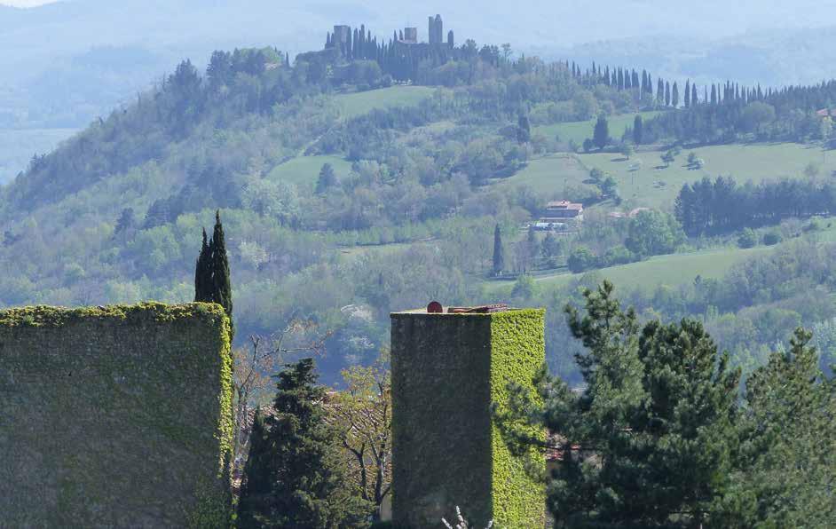 ITINERARIO NEL CASENTINO Il Casentino è la Valle dell Anima la natura, l aria pulita, fanno di questa valle un oasi felice.