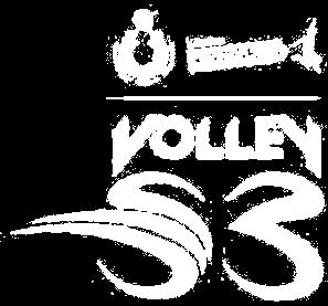 VolleyS3 promuove il volley in palestra, ma anche in eventi di piazza e in vere e proprie feste della pallavolo, con lo scopo di far giocare la famiglia intera, dai bambini ai ragazzi fino agli