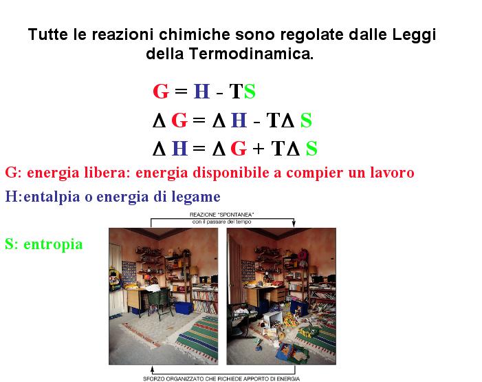 (ENERGIA POTENZIALE TOTALE DEL SISTEMA) Termodinamica 21