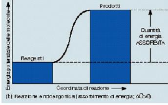 ESOERGONICO