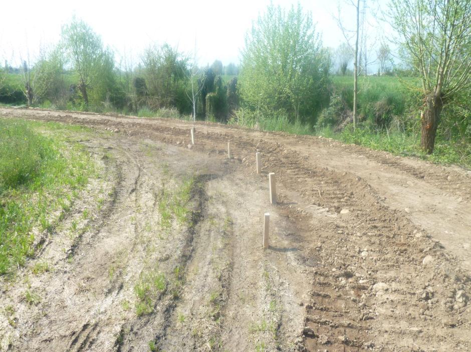 fontana Rigon, roggia Mezzo Staro, bocchetto Uselin Mattina n 3; a Sandrigo: roggia Moraretto, canaletta Pozzo Tesina, roggia Cornera, roggia Astichello; a Schiavon: bocchetto Silvagni Cogo; a