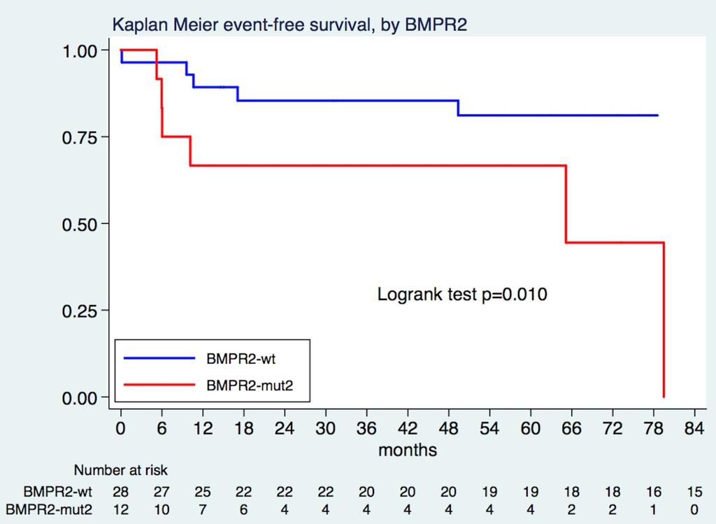 Risultati: Il tasso di eventi stimato per 100 persone/anno è 3 nei pazienti BMPR neg (95% IC 2-7) 18 nei pazienti BMPR pos